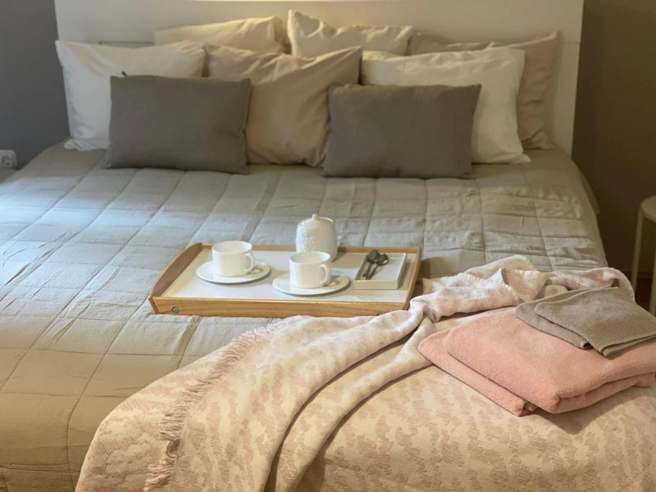 Danube View In Center-prime Location Apartment *