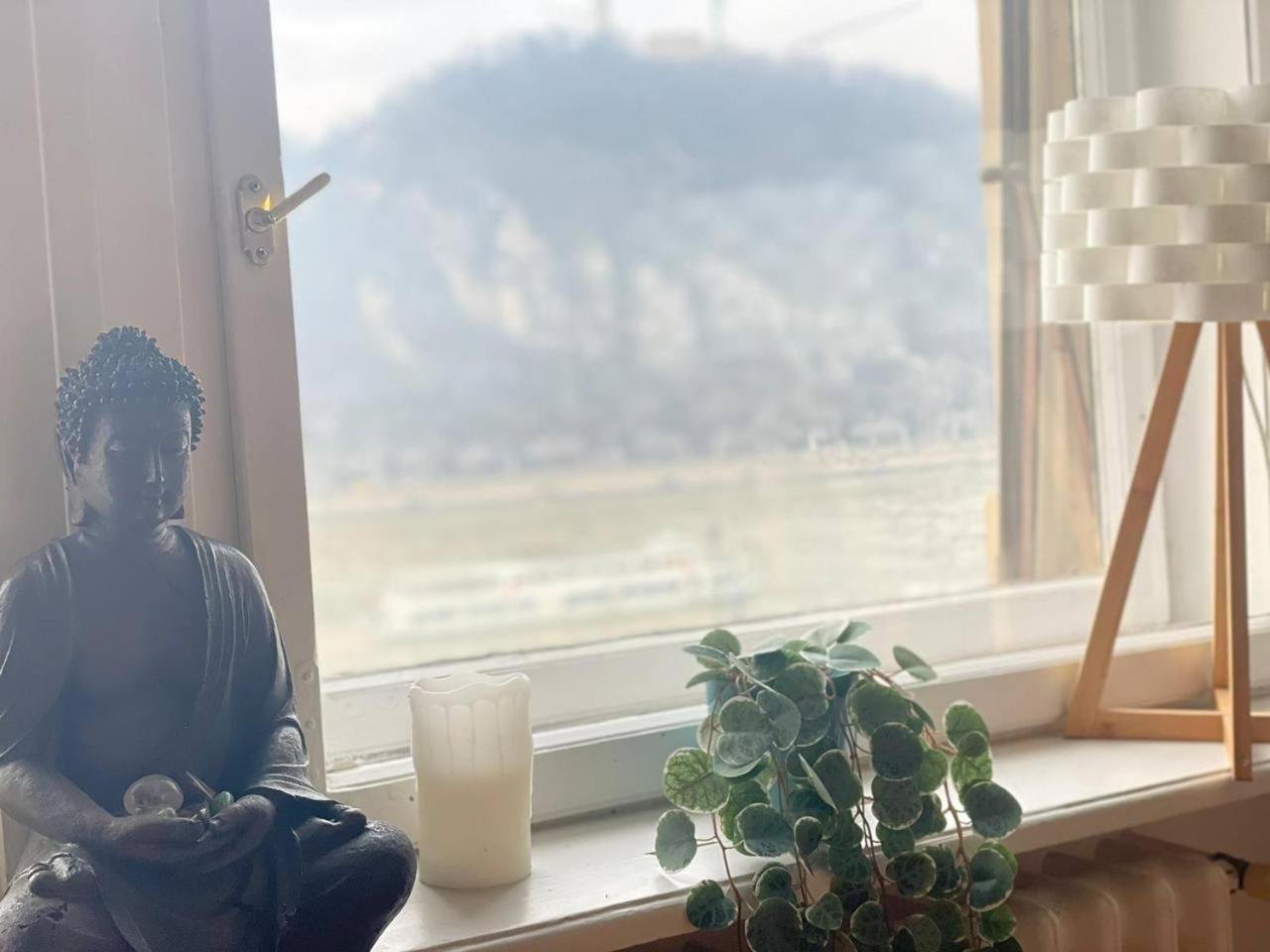 Apartment Danube View In Center-prime Location *